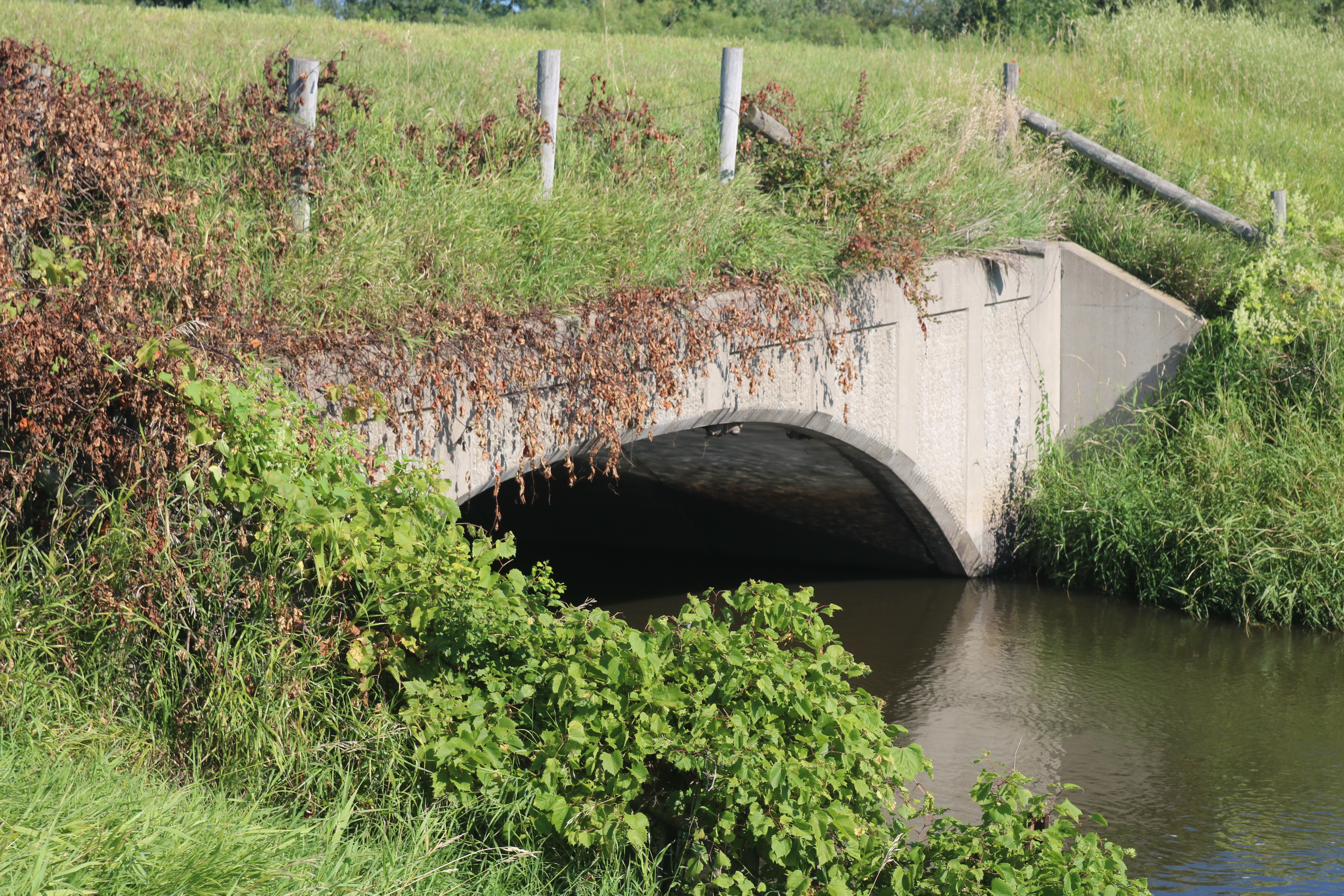 Bridge 91940